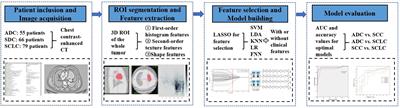 Radiomics-Based Features for Prediction of Histological Subtypes in Central Lung Cancer